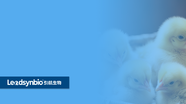 為什么說水溶性25-羥基維生素D? 是一個偽命題 ？｜產(chǎn)品科普