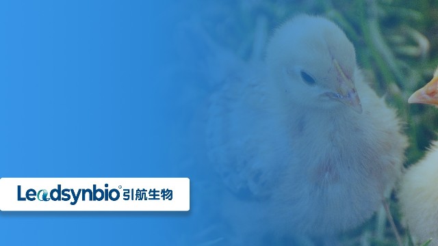 關(guān)于25-羥基維生素D?，你不得不知道的七個問答（二）｜產(chǎn)品科普